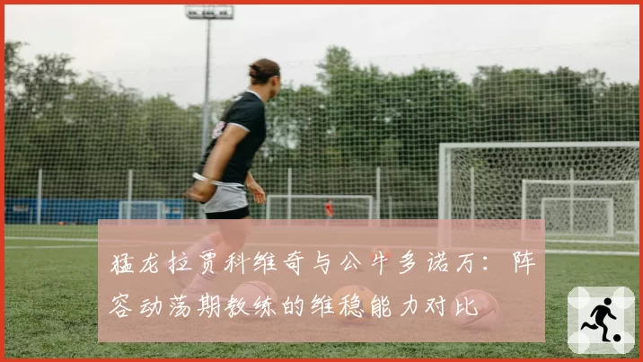 猛龙拉贾科维奇与公牛多诺万：阵容动荡期教练的维稳能力对比